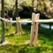 Plastic Clothesline Jump Rope 50 Ft – Long Jump Rope for Group Play, Playground, PE Class, Outdoor Games